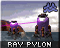 Ray Pylon